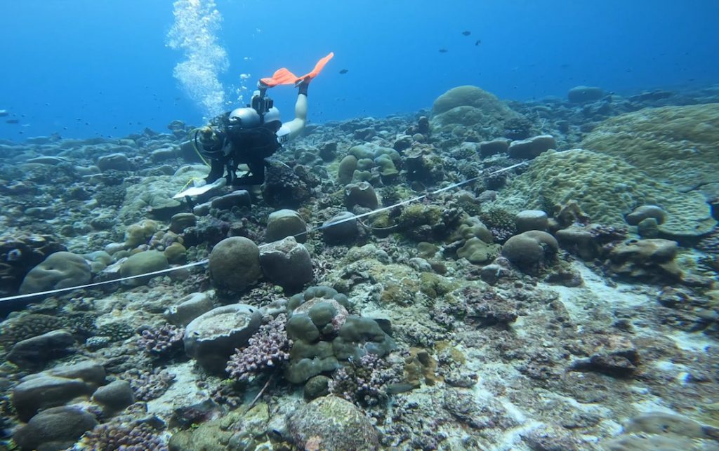 Fuvahmulah coral reef research