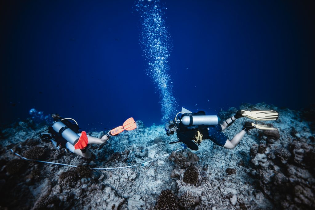 Fuvahmulah coral reef research