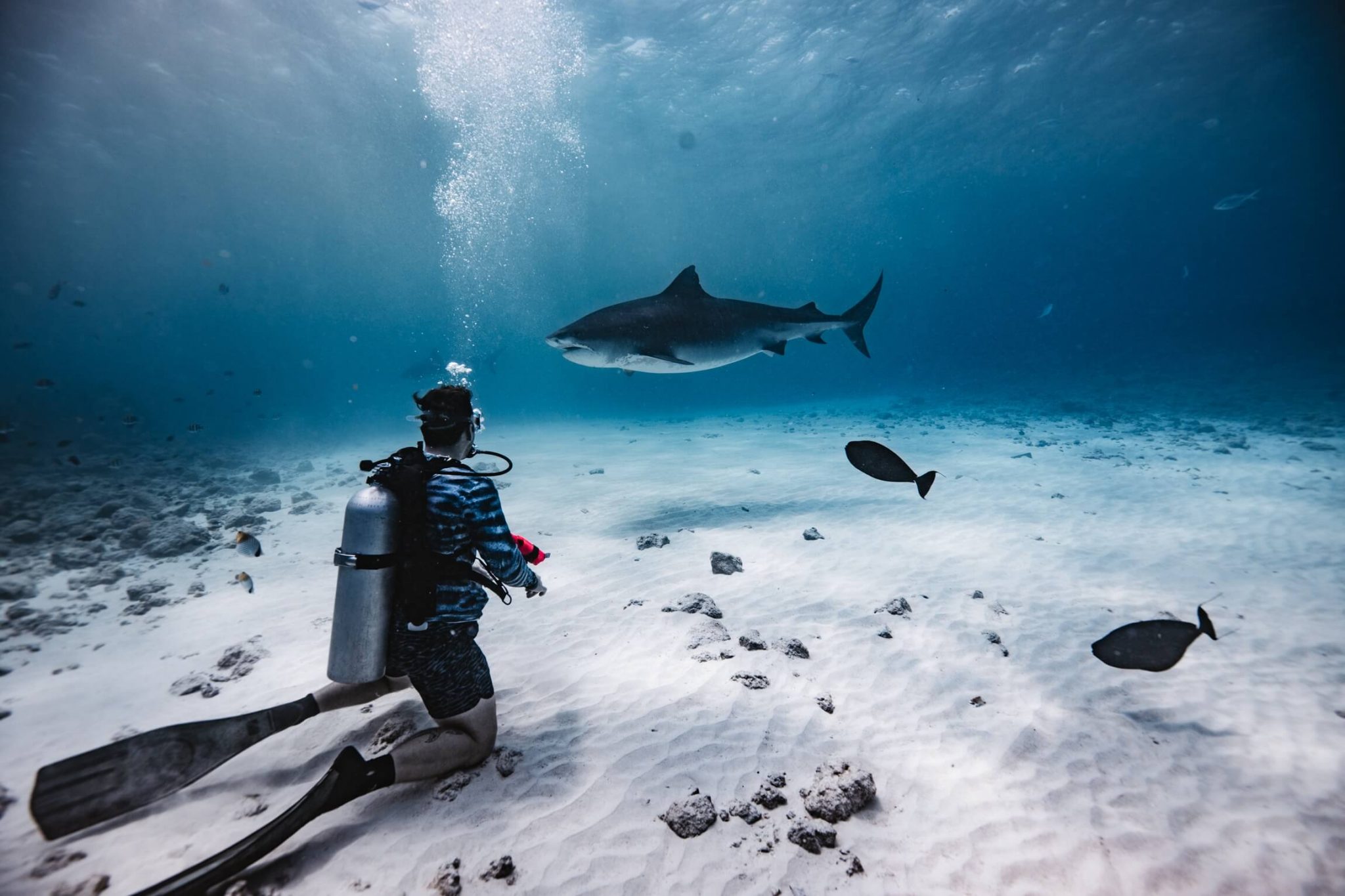 WHAT ARE DIVE CERTIFICATION LEVELS? A GUIDE TO DIVE CERTIFICATIONS