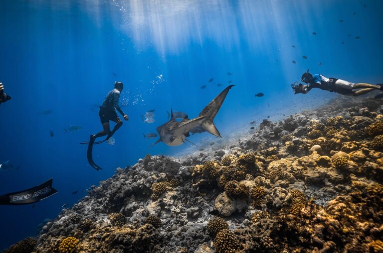 Fuvahmulah freediving